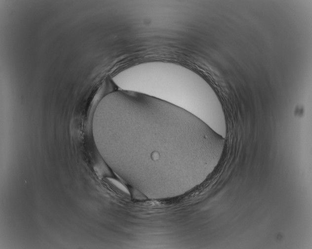 X0000095120421200712301805