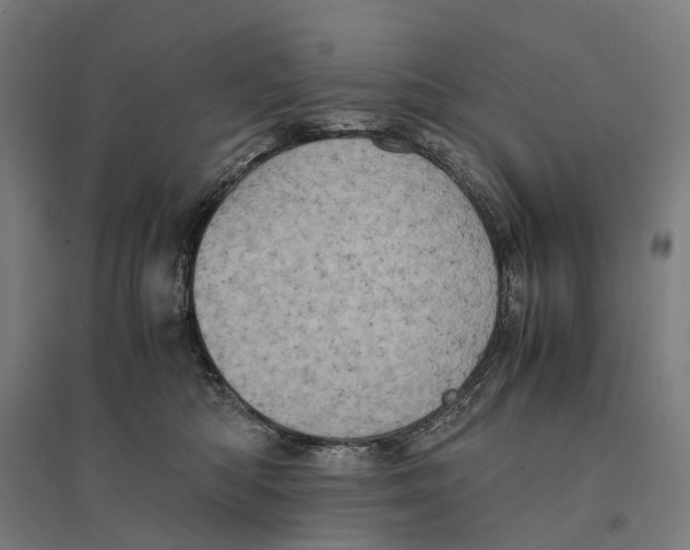 X0000095120422200712301805