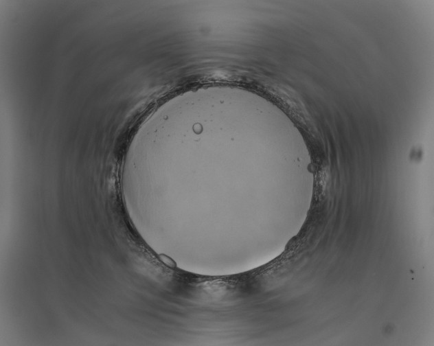 X0000095120423200712301805