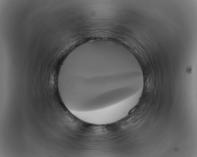 X0000095120424200712301805