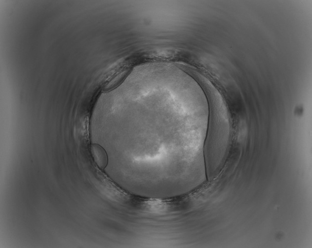 X0000095120425200712301805