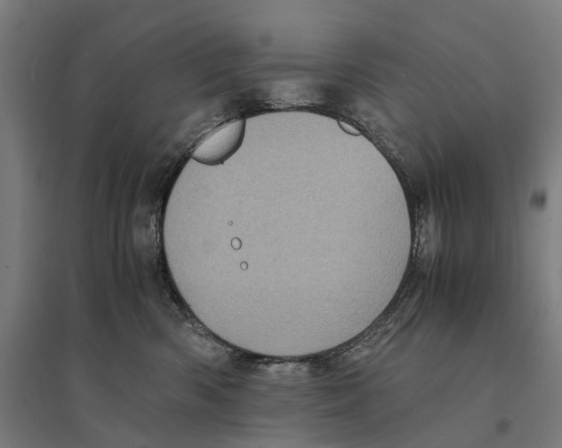 X0000095120426200712301805