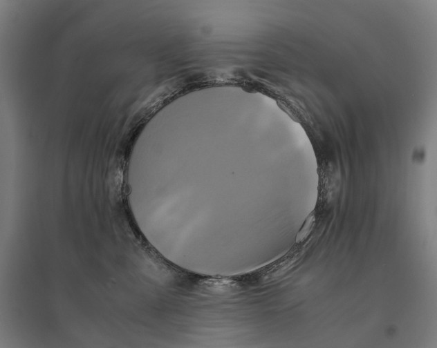 X0000095120427200712301804