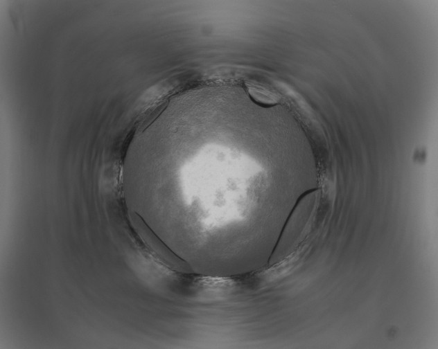 X0000095120429200712301804