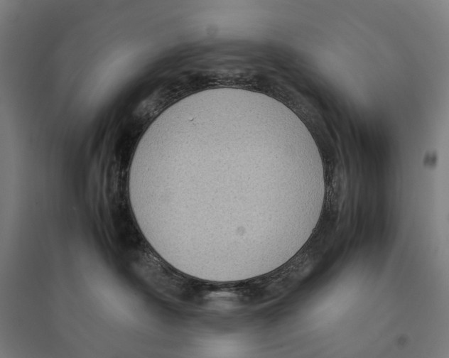 X0000095120430200712301804