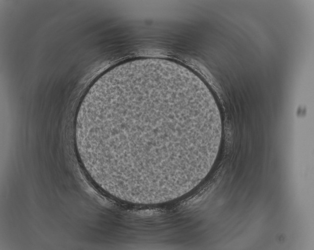 X0000095120433200712301804