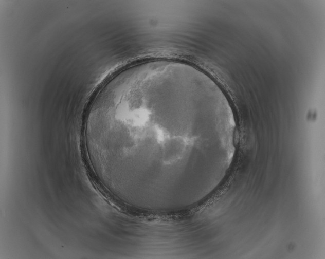 X0000095120434200712301804