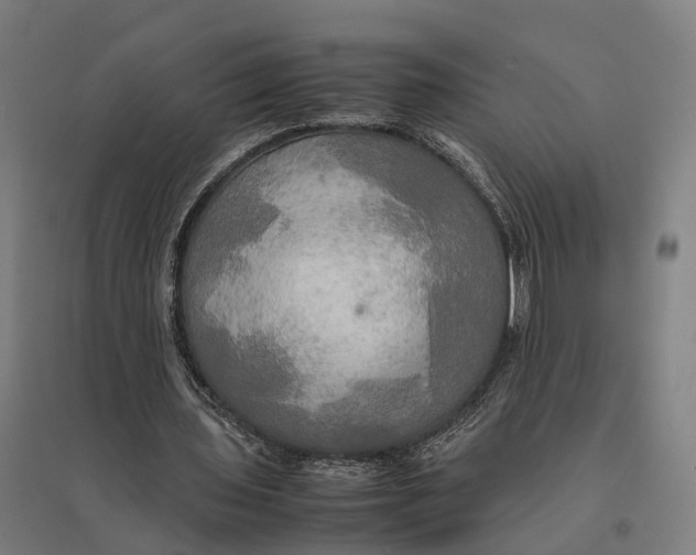 X0000095120435200712301804