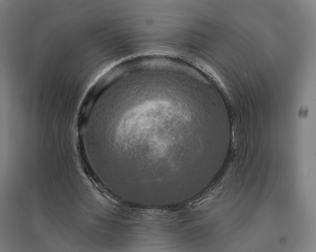 X0000095120436200712301804