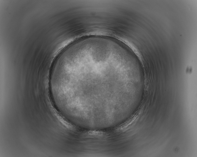 X0000095120437200712301804