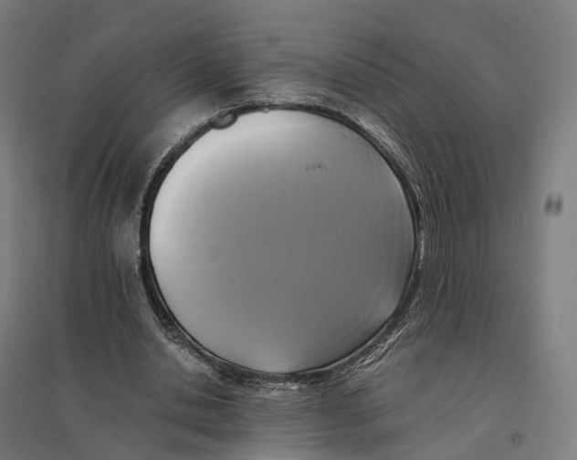 X0000095120438200712301804