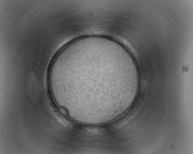 X0000095120439200712301804