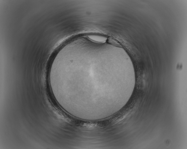 X0000095120440200712301804