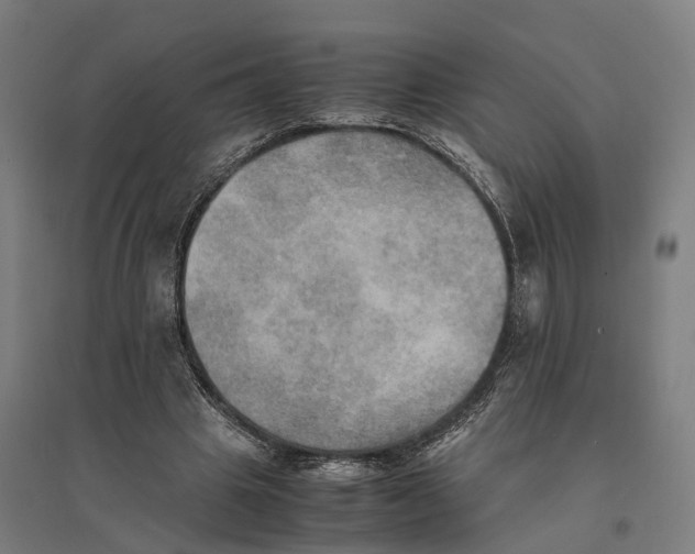 X0000095120441200712301804