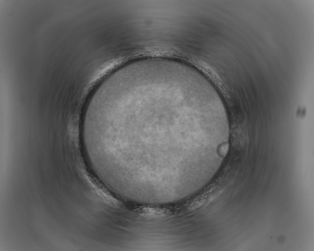 X0000095120442200712301804