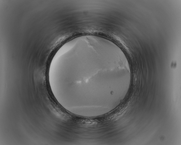 X0000095120443200712301804