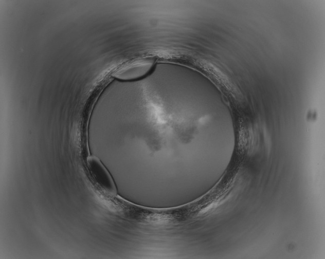 X0000095120444200712301804