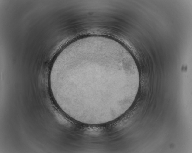 X0000095120445200712301804