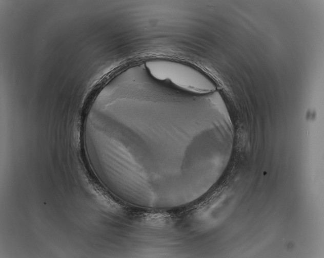 X0000095120446200712301804