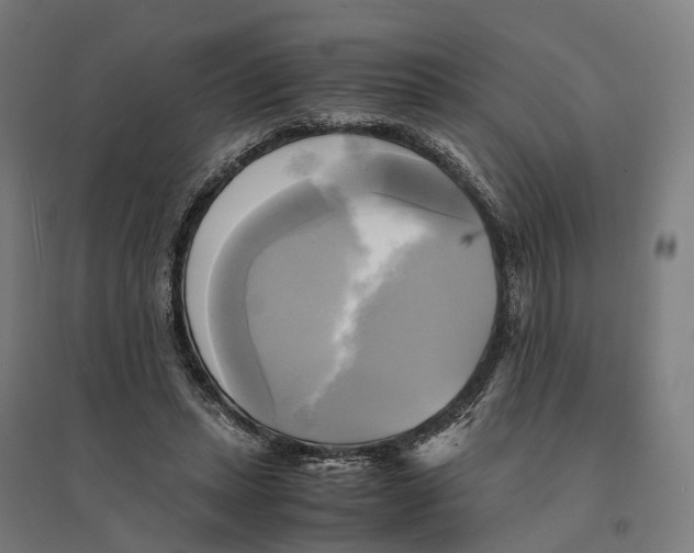 X0000095120447200712301804