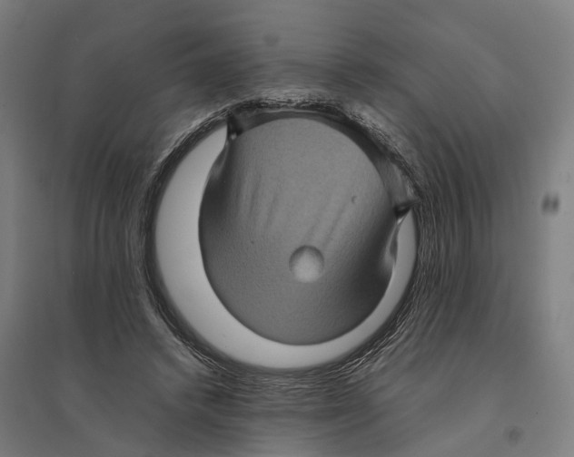 X0000095120448200712301804