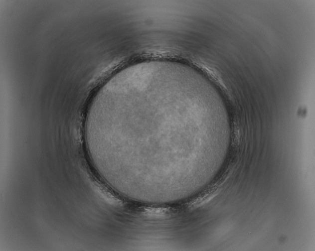 X0000095120450200712301804