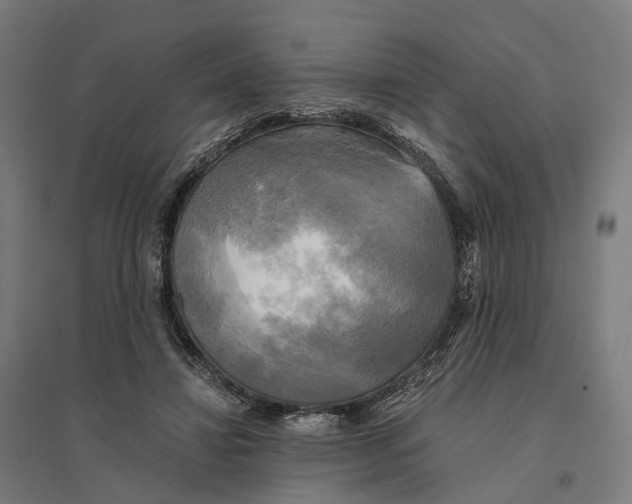 X0000095120452200712301804