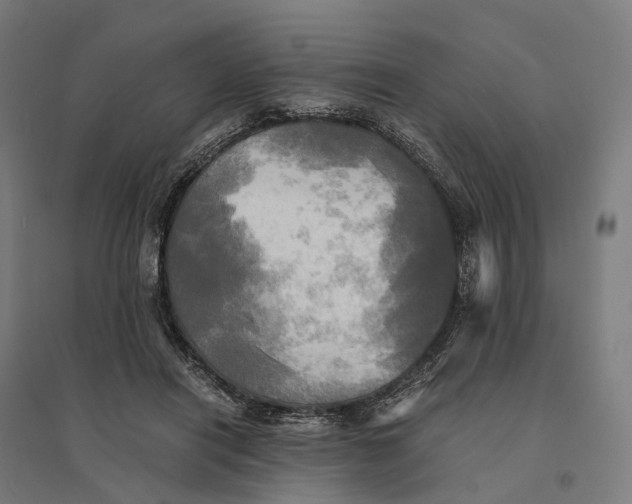 X0000095120454200712301804