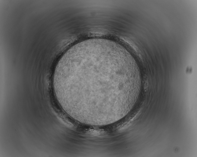 X0000095120455200712301804