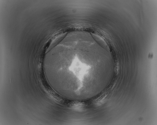 X0000095120456200712301804