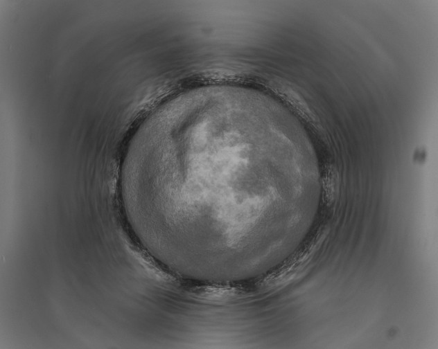 X0000095120458200712301804