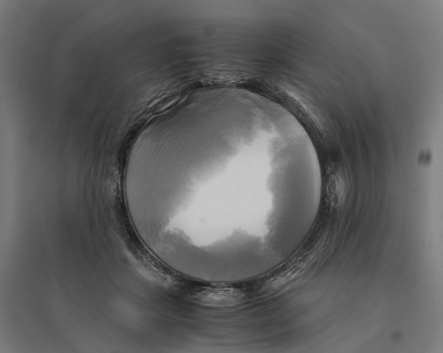 X0000095120459200712301804