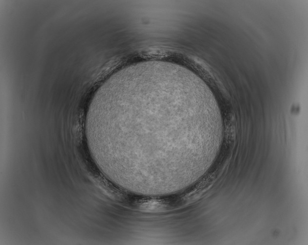 X0000095120460200712301804