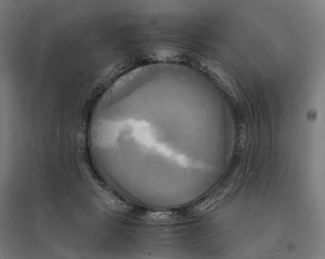 X0000095120461200712301804