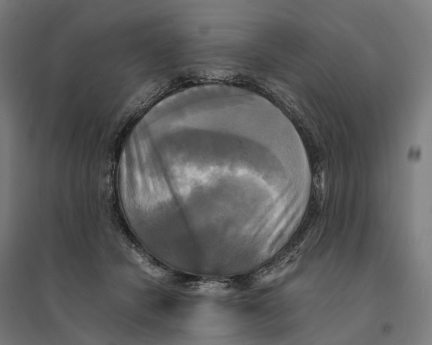 X0000095120462200712301804