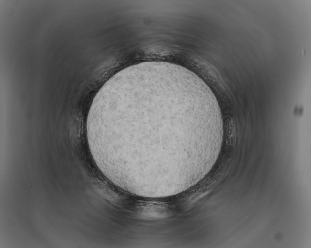 X0000095120463200712301804