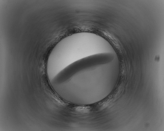 X0000095120465200712301804