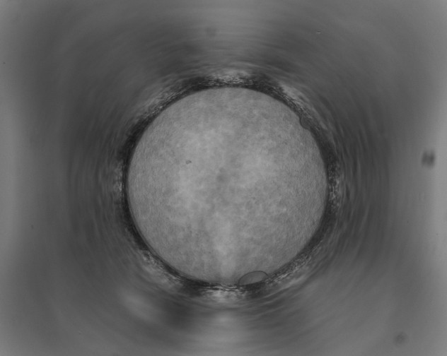 X0000095120466200712301804