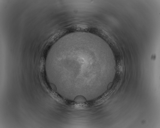 X0000095120468200712301804