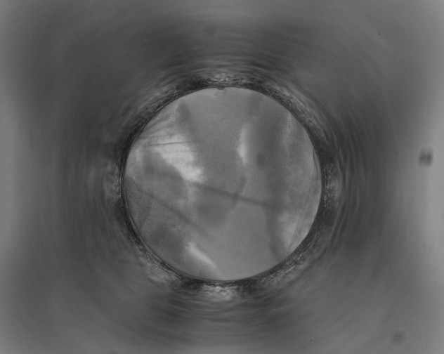 X0000095120469200712301804