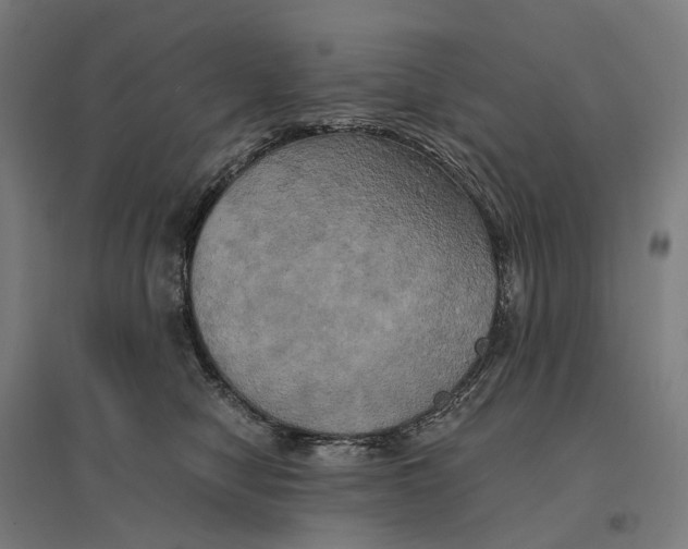 X0000095120470200712301804