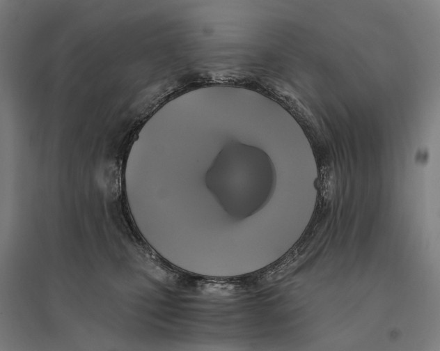 X0000095120471200712301804