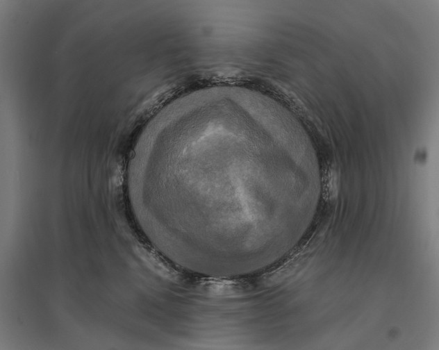 X0000095120472200712301804