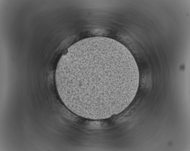 X0000095120473200712301804