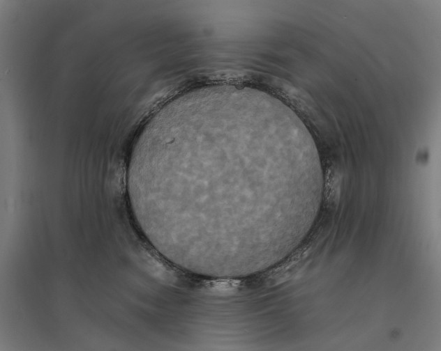 X0000095120474200712301804