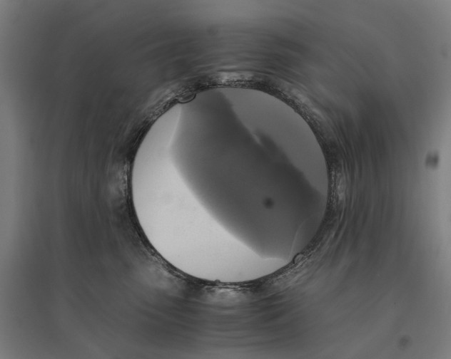 X0000095120475200712301804