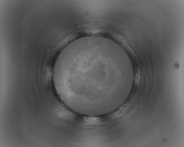 X0000095120476200712301804