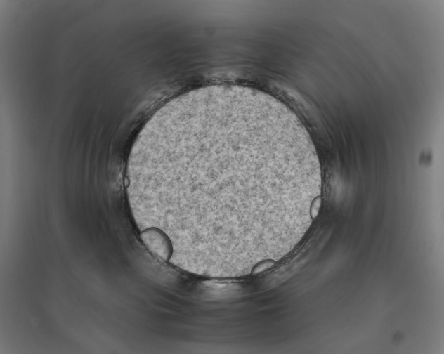 X0000095120477200712301804