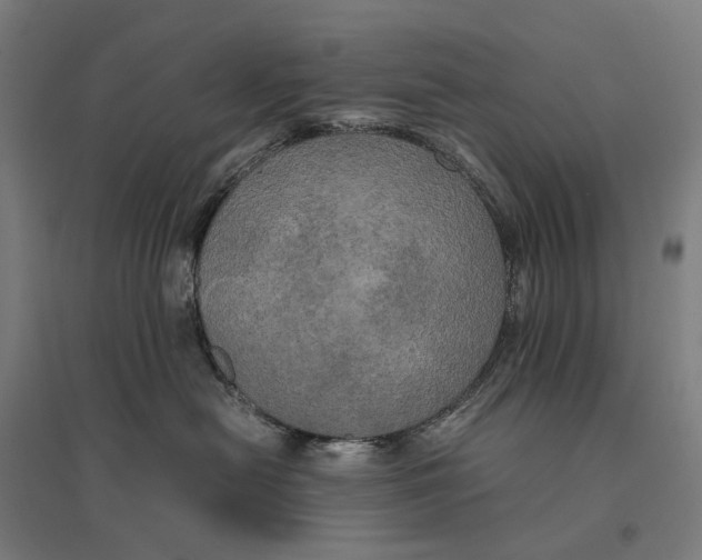 X0000095120478200712301804