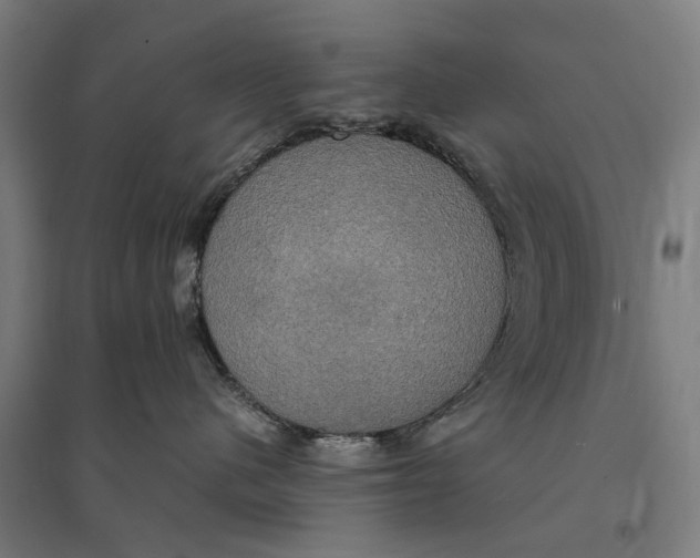 X0000095120480200712301804